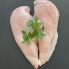 Chicken Breast Chicken Breast